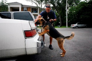 canine sniffs police dog legal issues